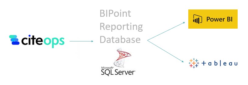 Bi Reporting Database